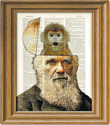 Darwin Monkey